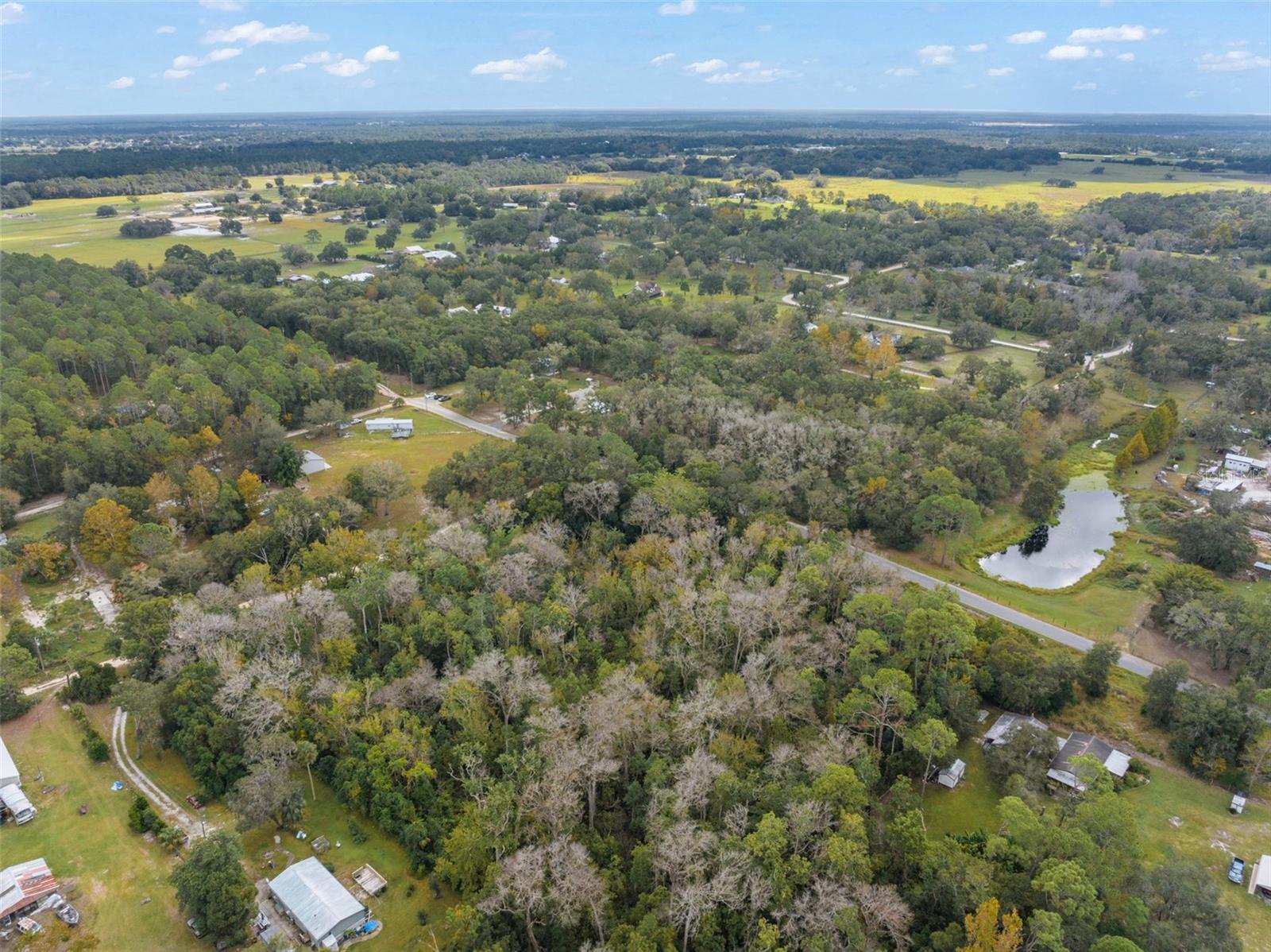 22126 QUALE GROVE RD, EUSTIS, FL — photo 139