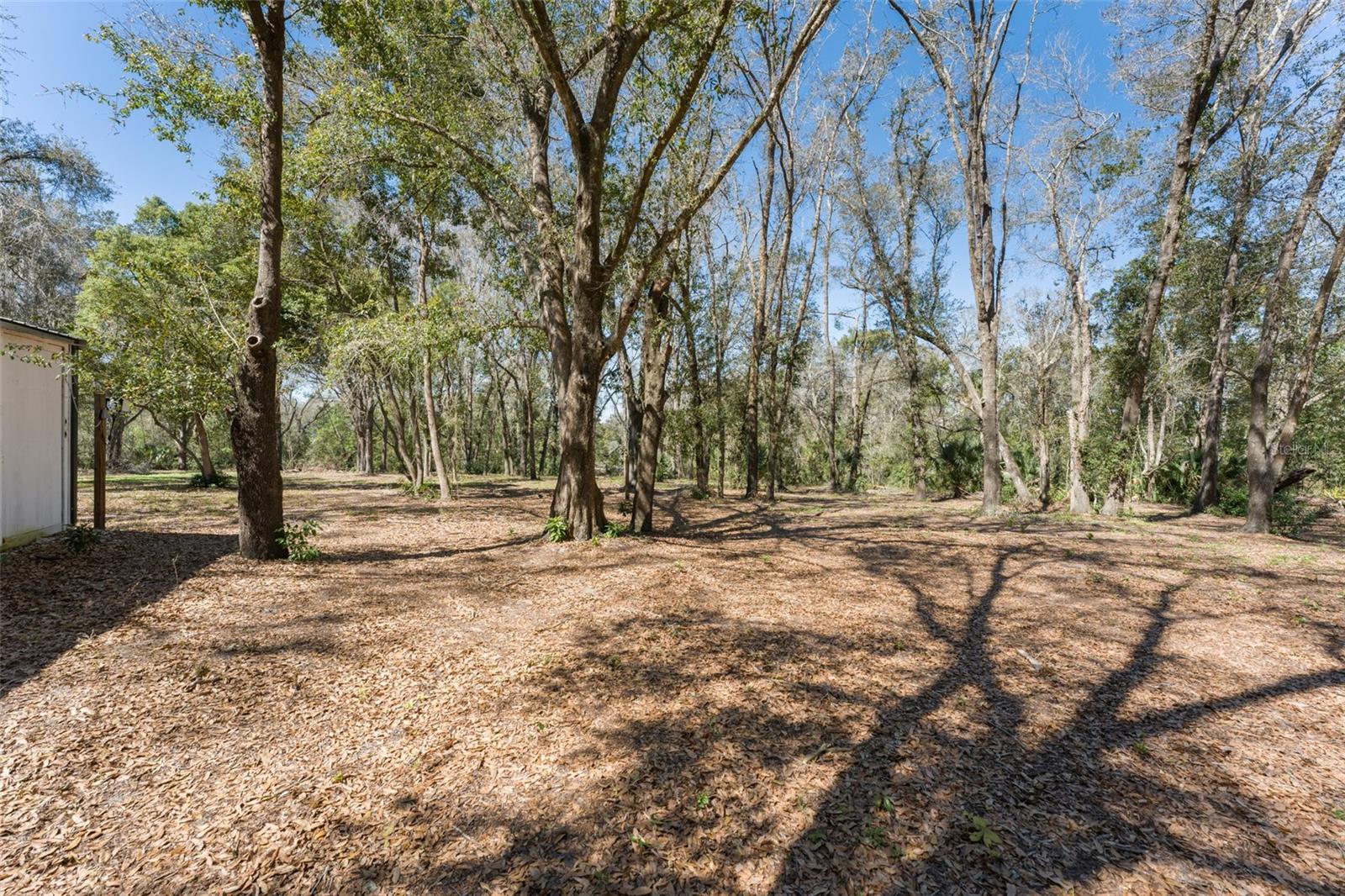 22126 QUALE GROVE RD, EUSTIS, FL — photo 127