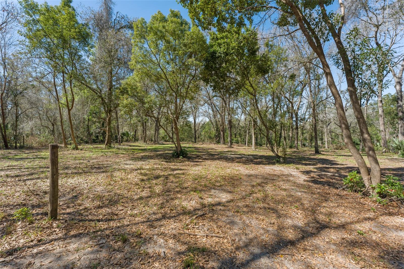 22126 QUALE GROVE RD, EUSTIS, FL — photo 129
