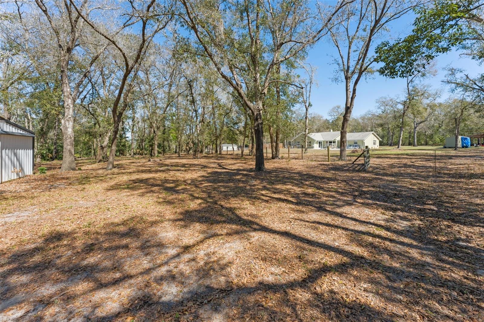 22126 QUALE GROVE RD, EUSTIS, FL — photo 131