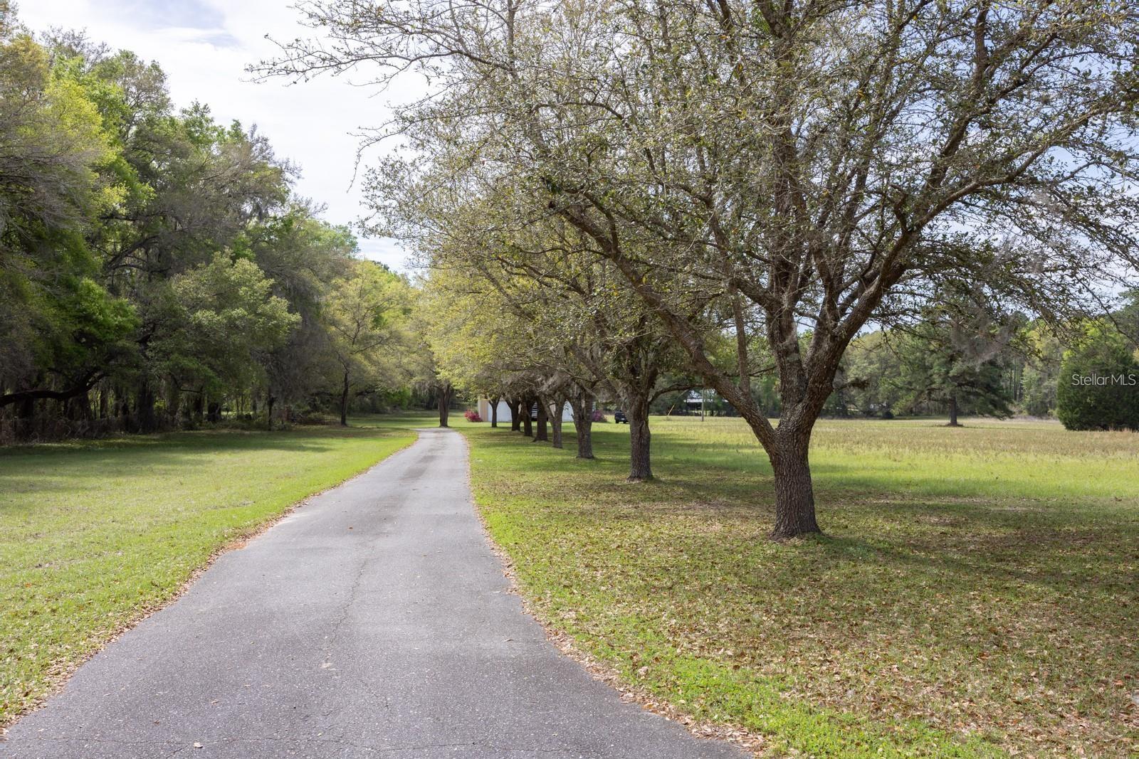 18604 NW 262ND AVE, ALACHUA, FL — photo 3