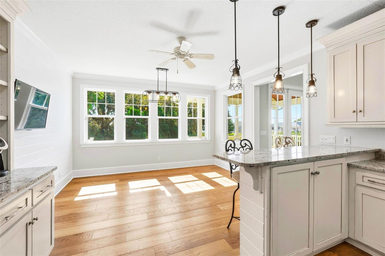 580 W 10TH AVE, MOUNT DORA, FL — photo 43