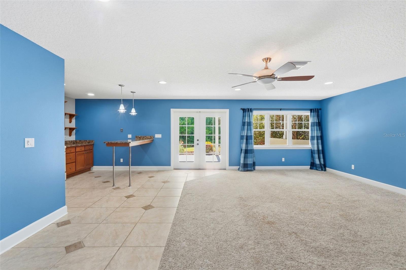 580 W 10TH AVE, MOUNT DORA, FL — photo 71