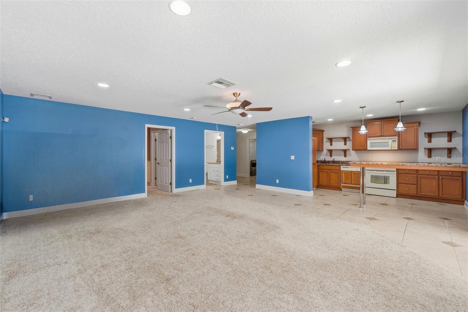 580 W 10TH AVE, MOUNT DORA, FL — photo 77