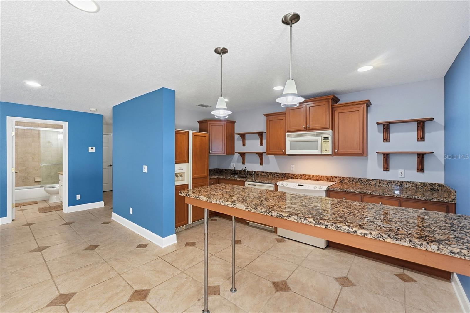 580 W 10TH AVE, MOUNT DORA, FL — photo 80