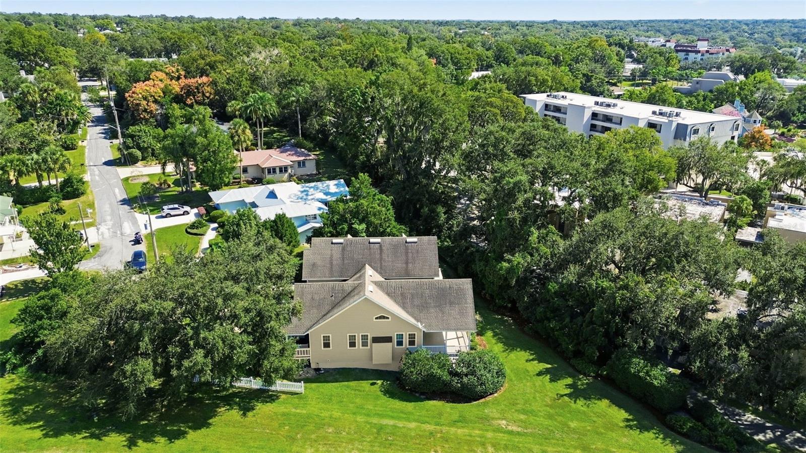 580 W 10TH AVE, MOUNT DORA, FL — photo 106