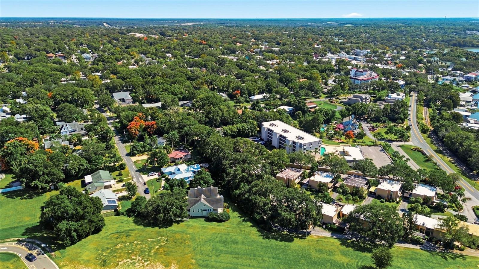 580 W 10TH AVE, MOUNT DORA, FL — photo 115