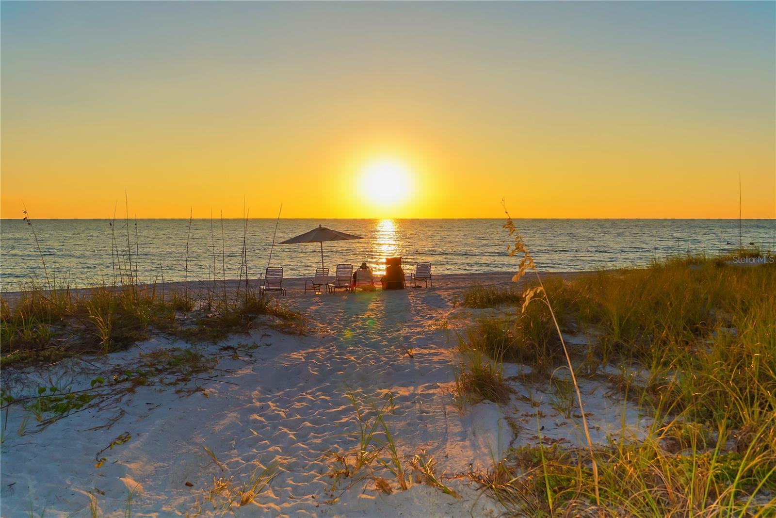 631 N ORANGE AVE #208, SARASOTA, FL — photo 40