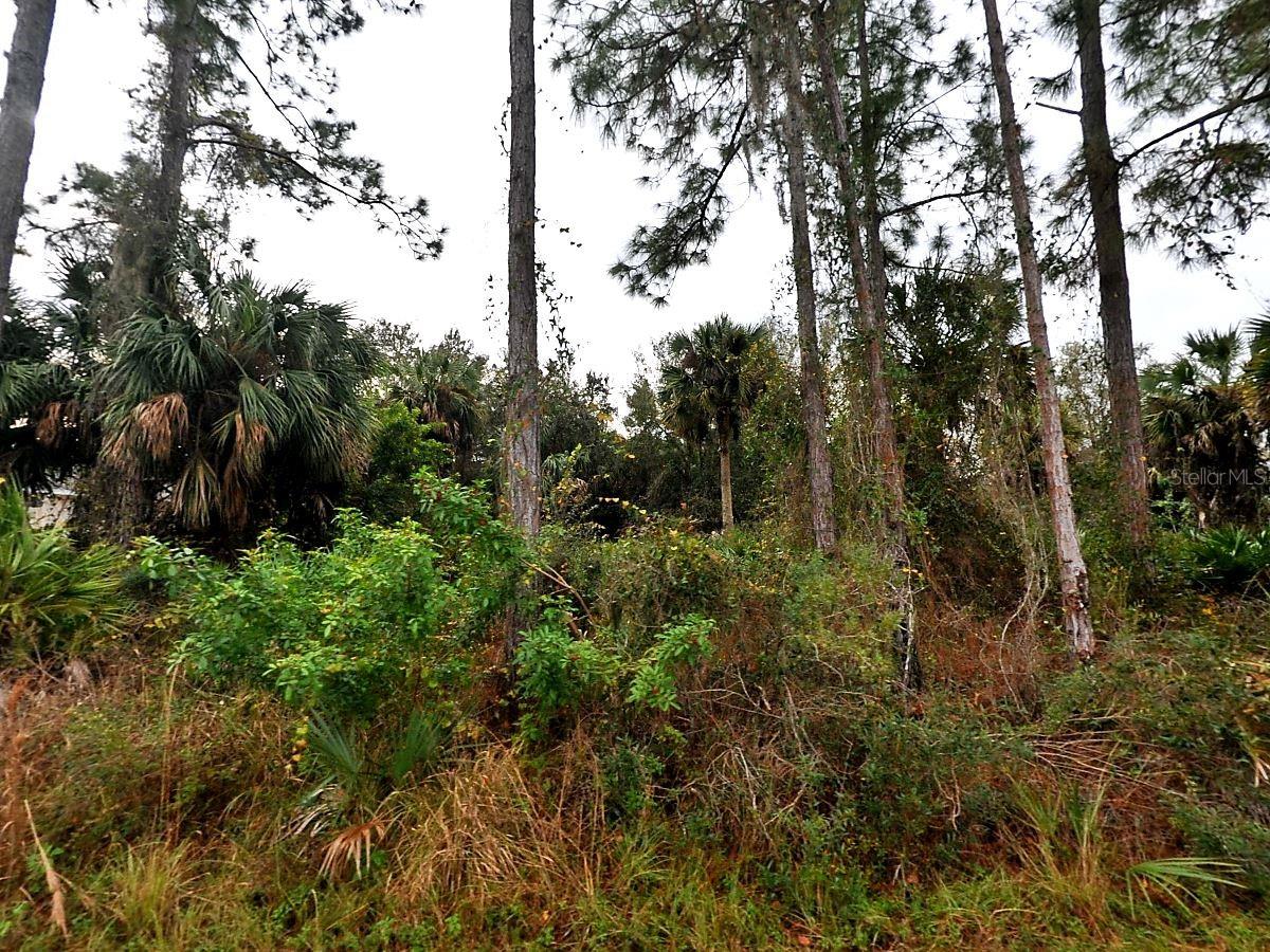 CISSUS AVE, NORTH PORT, FL