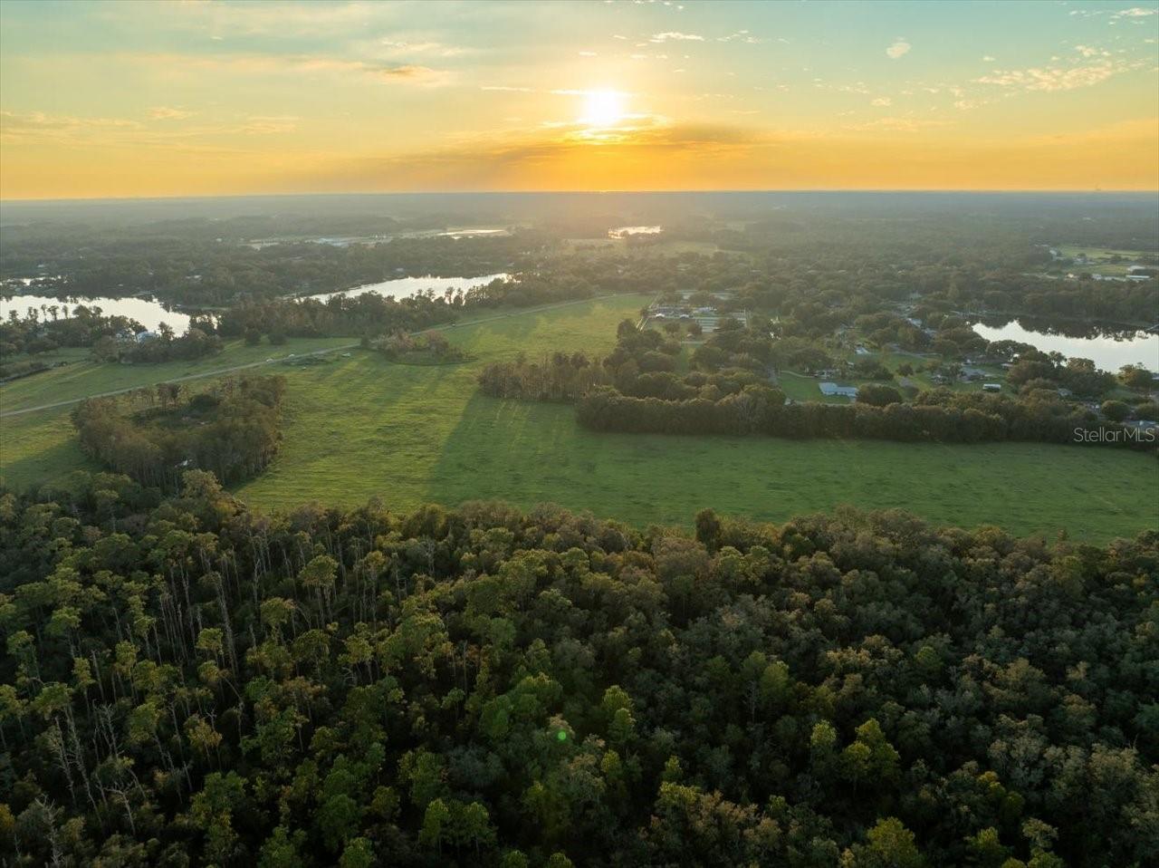 16405 BOY SCOUT RD, ODESSA, FL