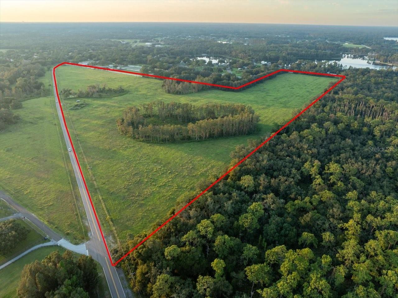 16405 BOY SCOUT RD, ODESSA, FL — photo 2