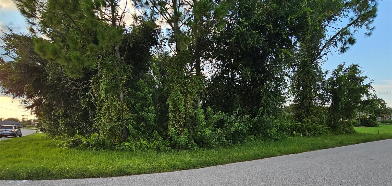 133 VALDIVA ST, PUNTA GORDA, FL — photo 2