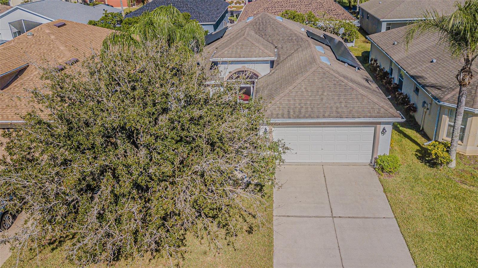 9608 ROLLING CIR, SAN ANTONIO, FL — photo 4