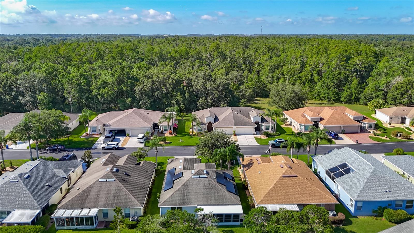 9608 ROLLING CIR, SAN ANTONIO, FL — photo 53