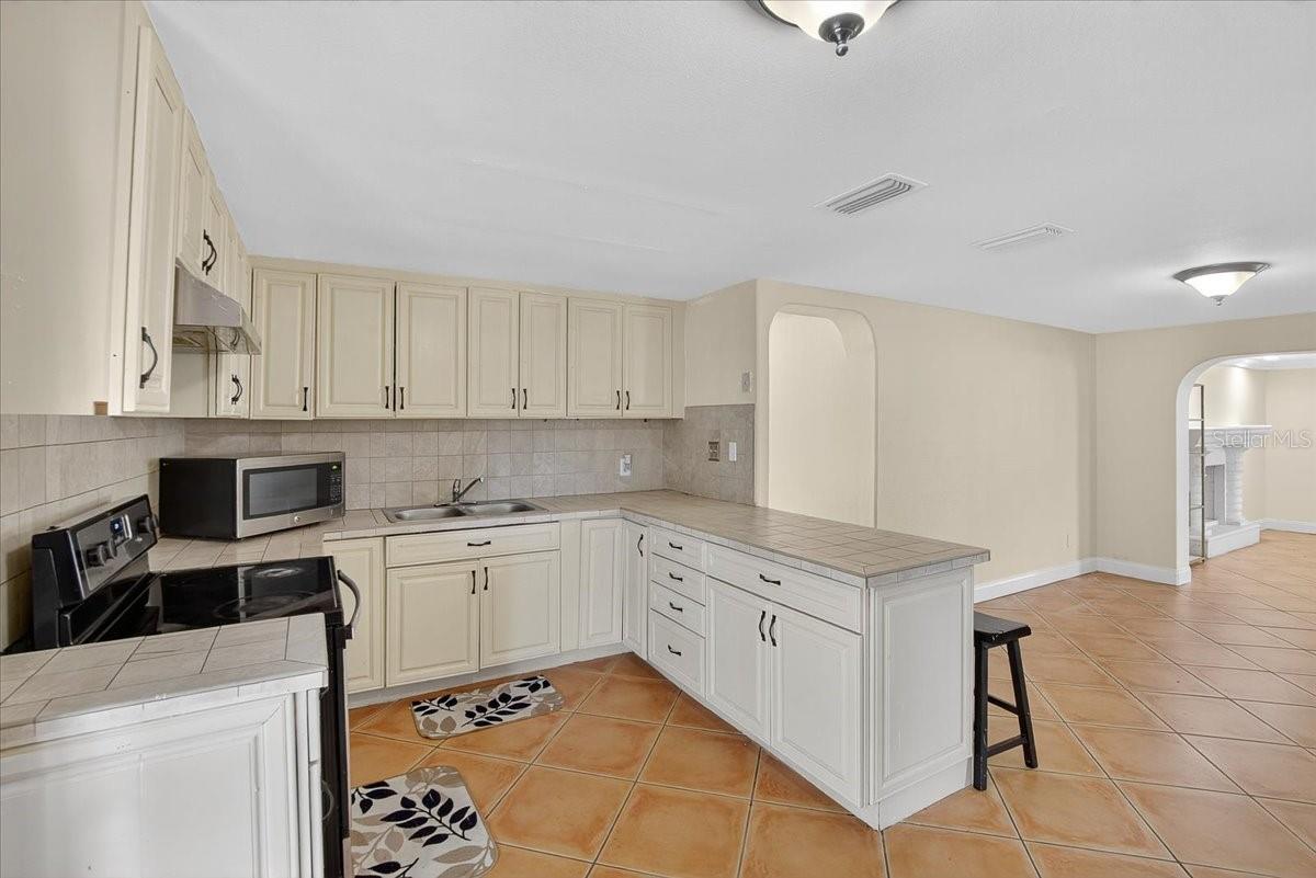4515 W NORTH ST, TAMPA, FL — photo 10