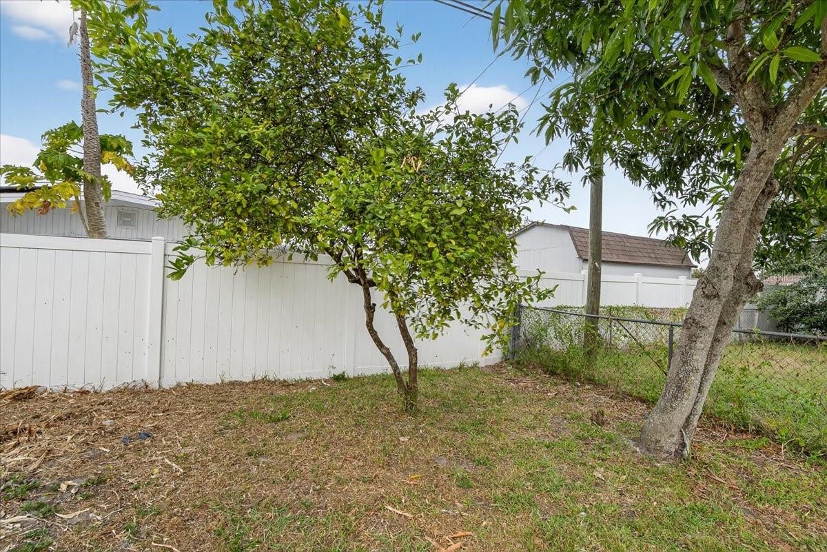 4515 W NORTH ST, TAMPA, FL — photo 43