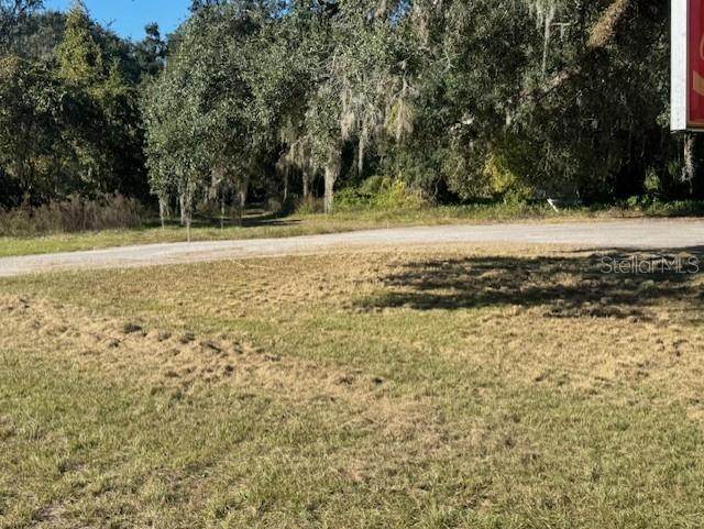 11542 S US HIGHWAY 301, WEBSTER, FL — photo 5