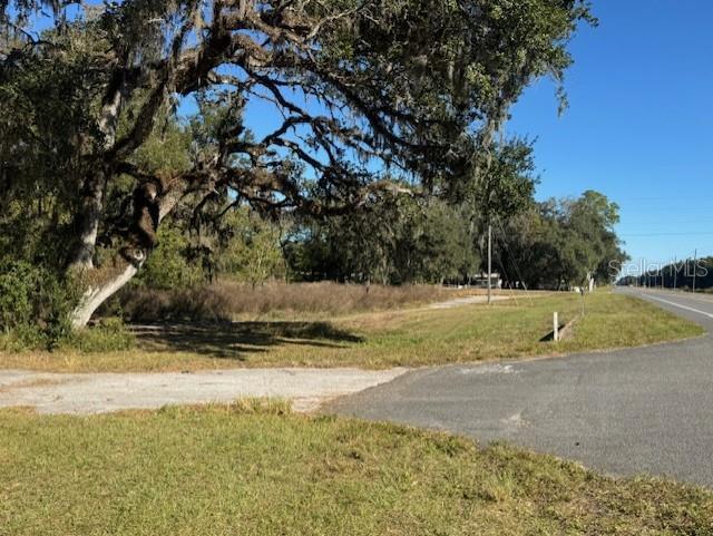 11542 S US HIGHWAY 301, WEBSTER, FL — photo 6