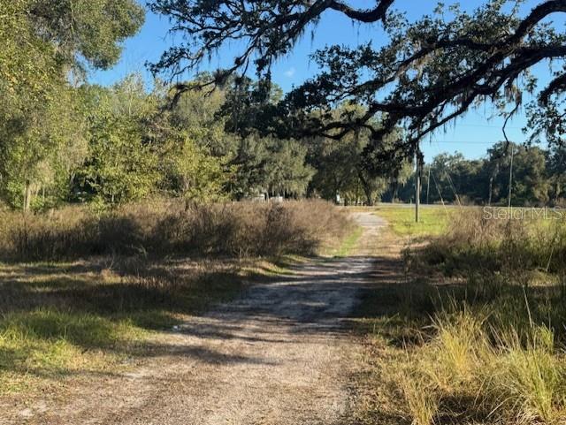 11542 S US HIGHWAY 301, WEBSTER, FL — photo 7