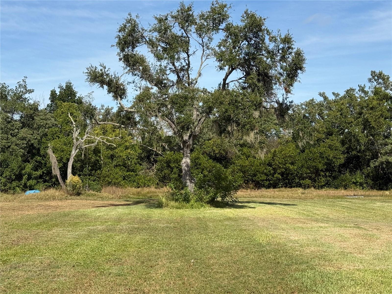 916 PINEY POINT RD, PALMETTO, FL — photo 5