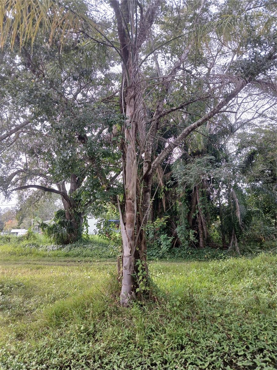18565 N 16TH AVE E, ORLANDO, FL — photo 4