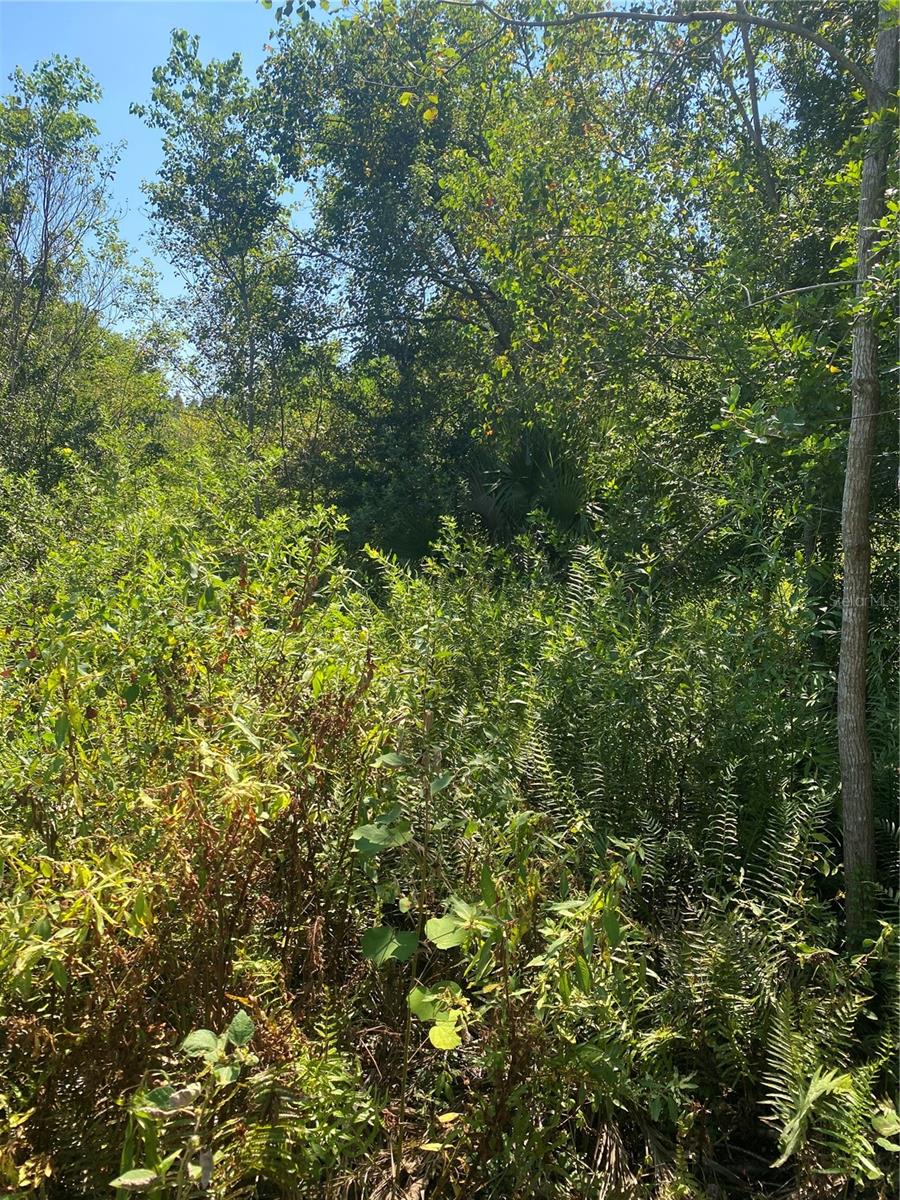 0000 23RD AVE RD, OCALA, FL
