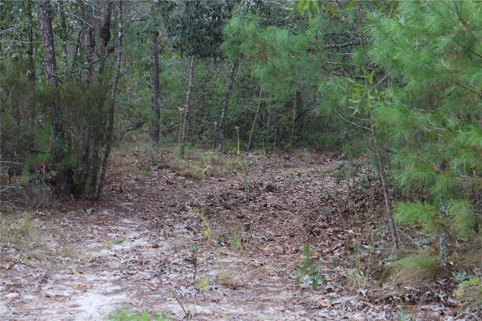 9478 N TIMBER CREEK TER, DUNNELLON, FL — photo 2