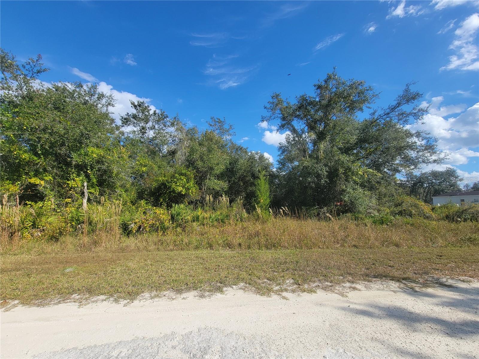 9460 ROUSSEAU ST, WEBSTER, FL