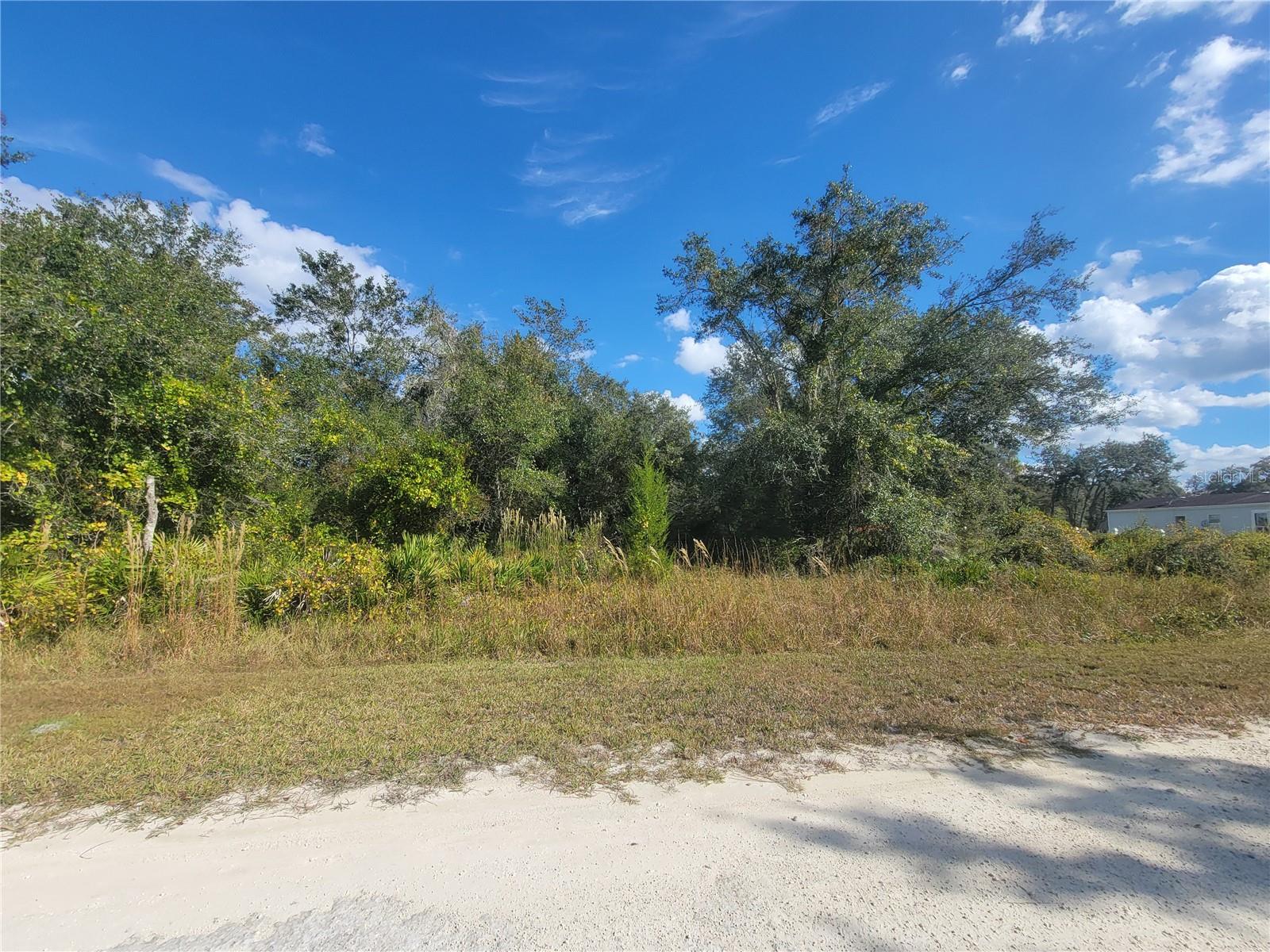 9460 ROUSSEAU ST, WEBSTER, FL — photo 2