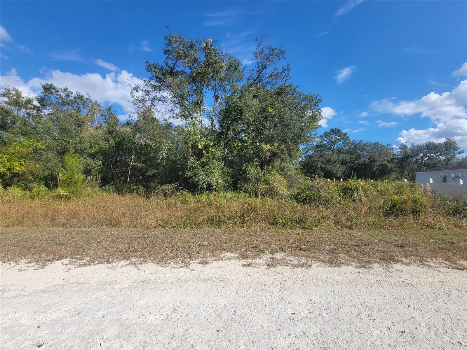 9460 ROUSSEAU ST, WEBSTER, FL — photo 3