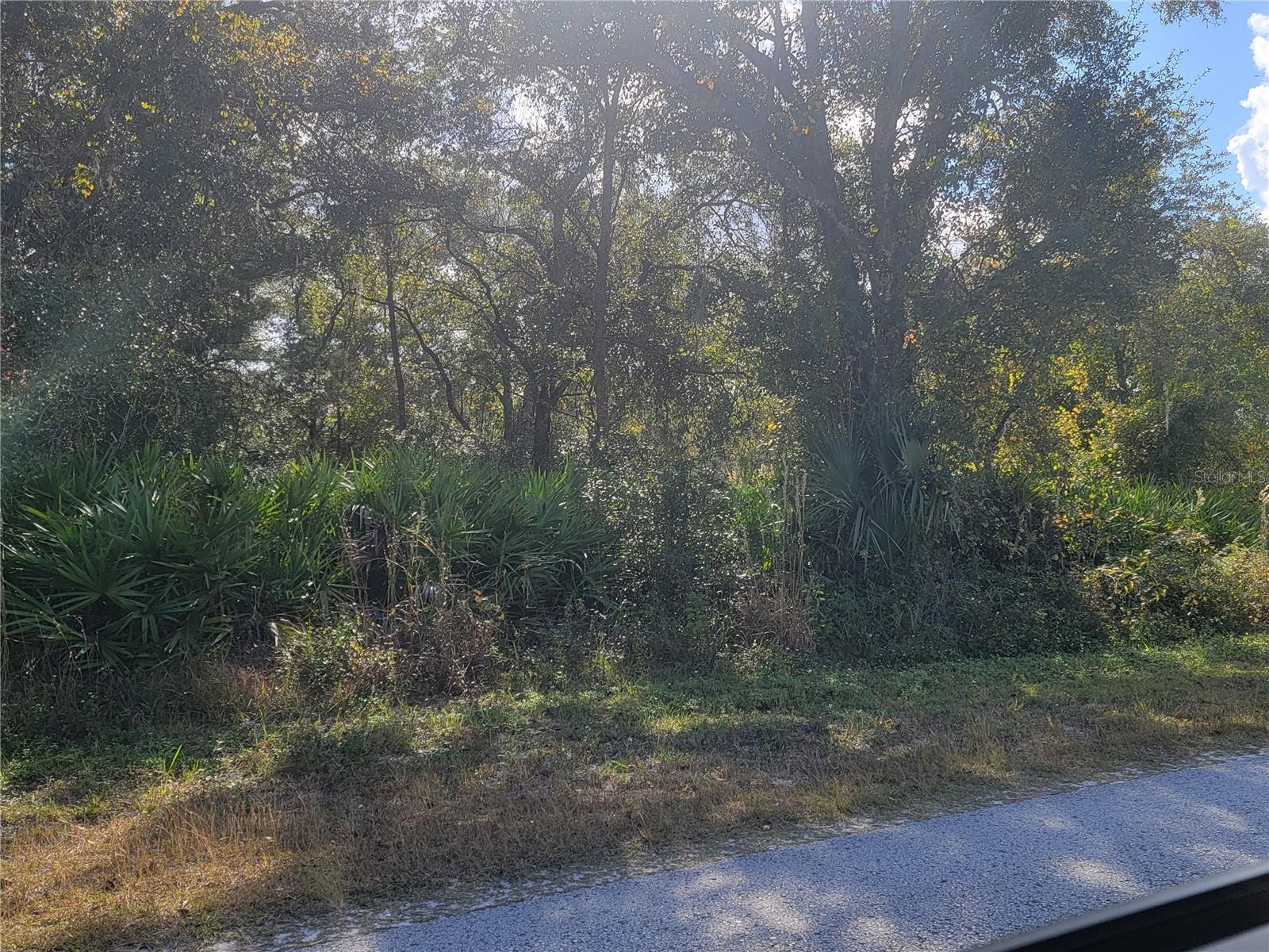 9460 ROUSSEAU ST, WEBSTER, FL — photo 4