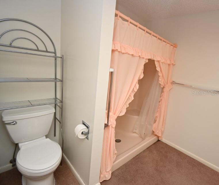 5250 LITTLE GREEN LN, DADE CITY, FL — photo 20