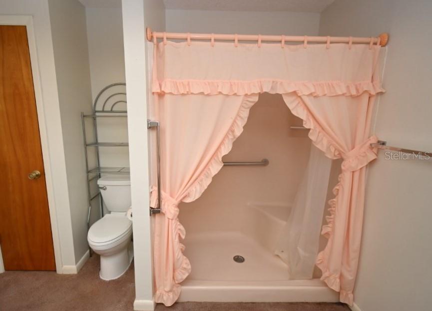 5250 LITTLE GREEN LN, DADE CITY, FL — photo 19