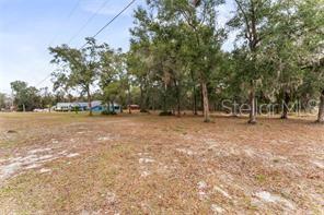 5250 LITTLE GREEN LN, DADE CITY, FL — photo 38