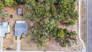5250 LITTLE GREEN LN, DADE CITY, FL — photo 39