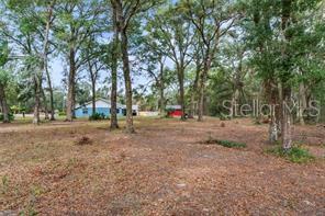 5250 LITTLE GREEN LN, DADE CITY, FL — photo 47