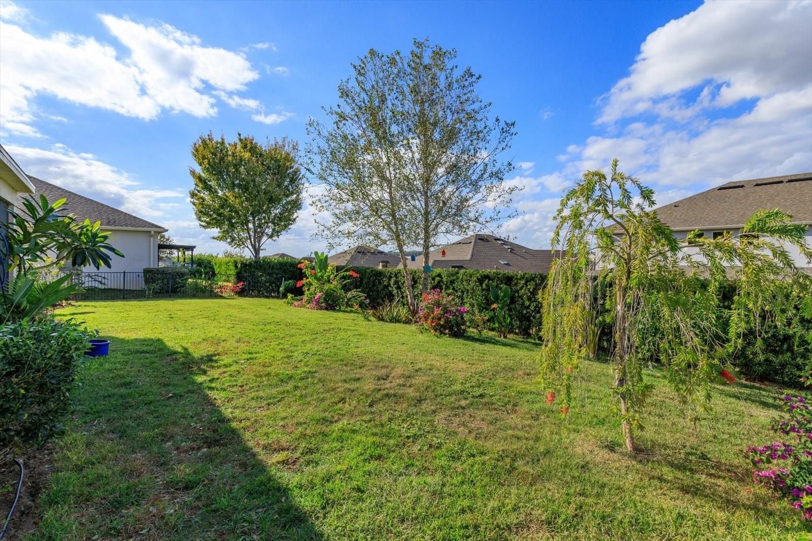 2376 TIMBERHILL CT, CLERMONT, FL — photo 47