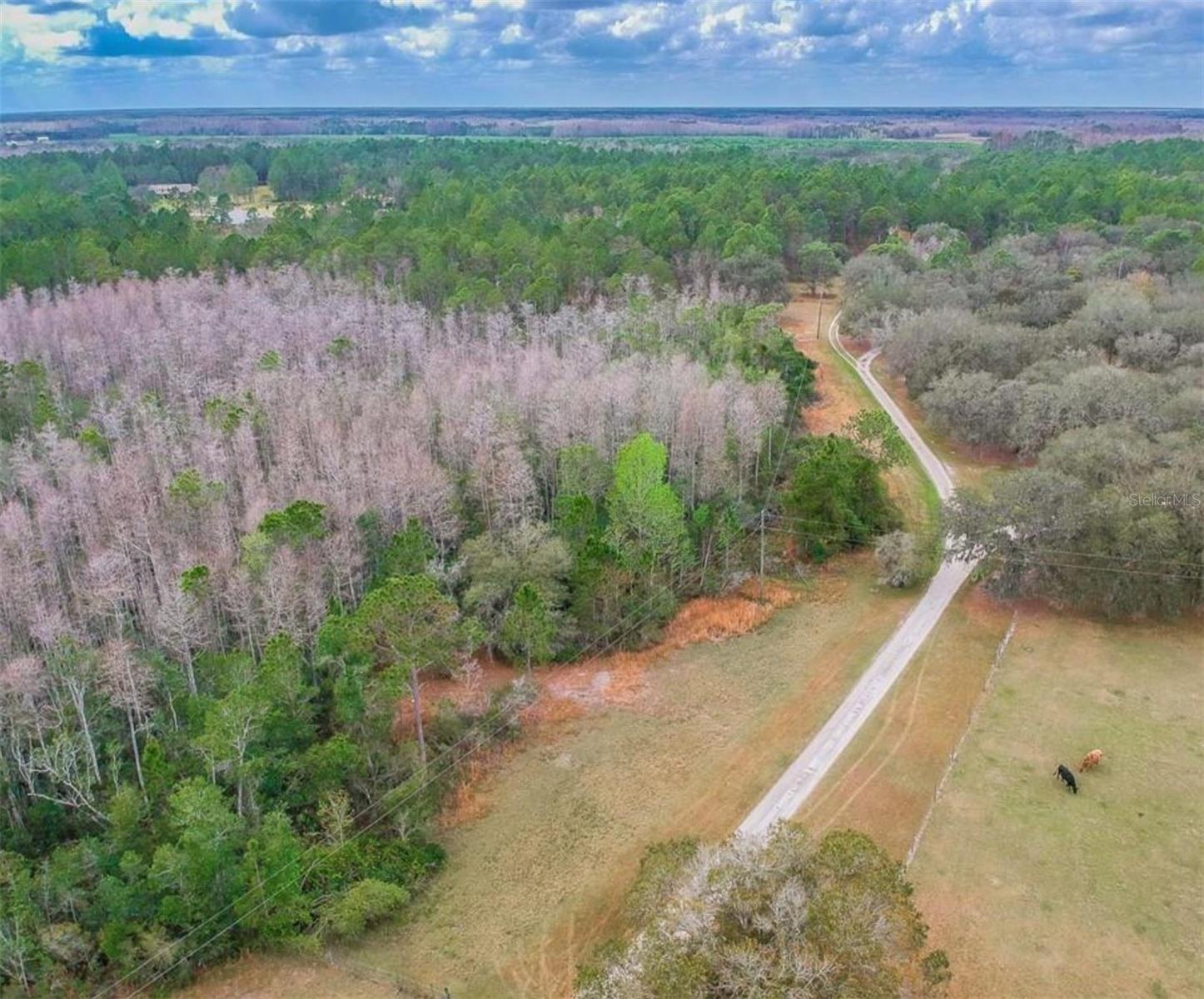 DUBOISE DR, CLERMONT, FL
