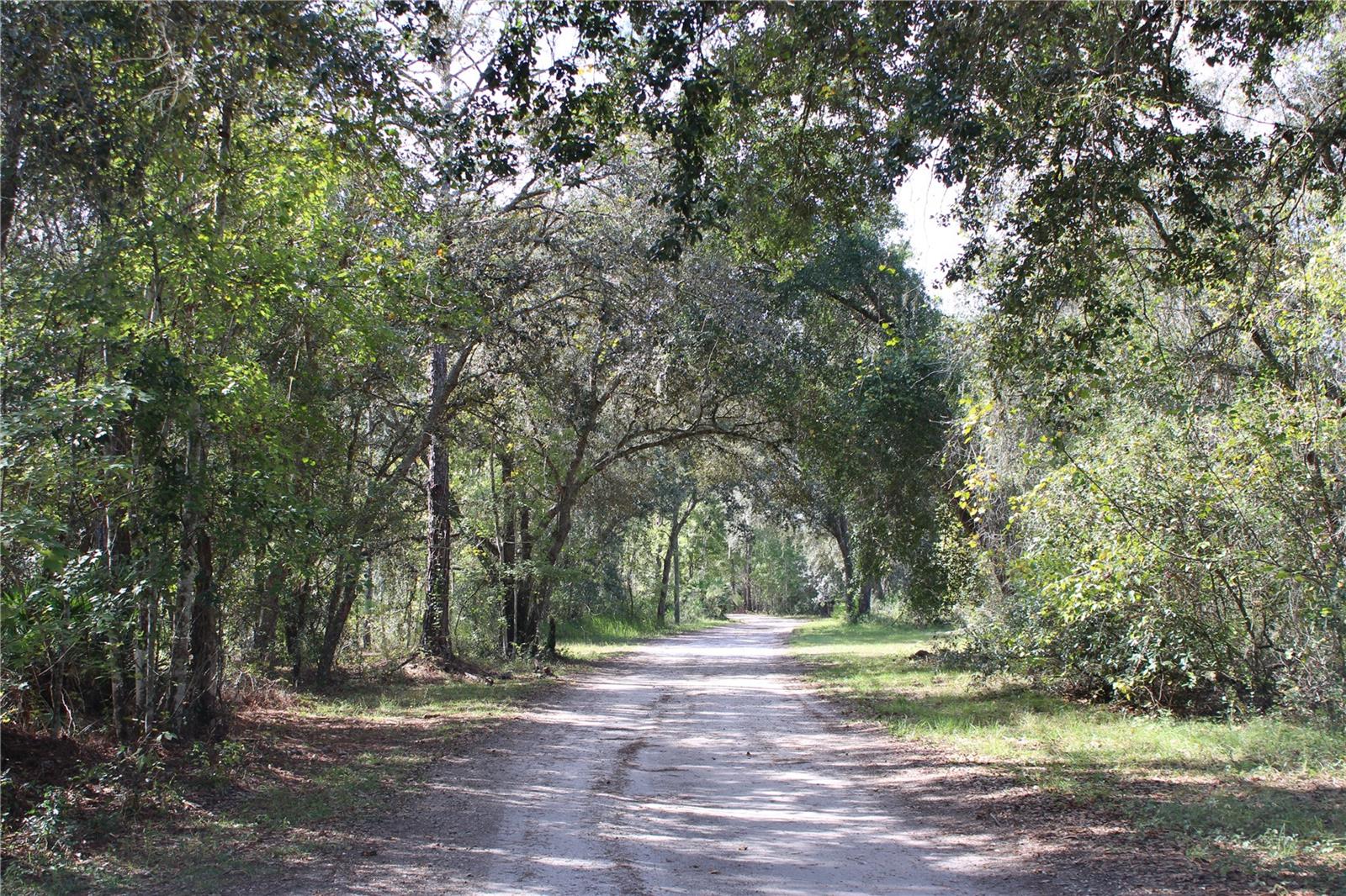 DUBOISE DR, CLERMONT, FL — photo 10