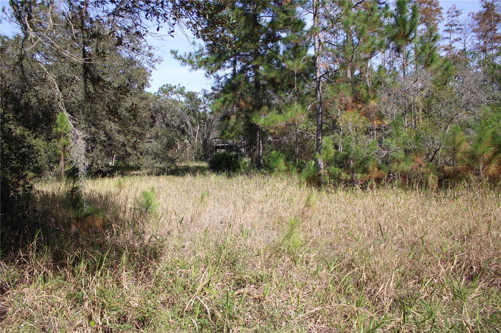 DUBOISE DR, CLERMONT, FL — photo 13