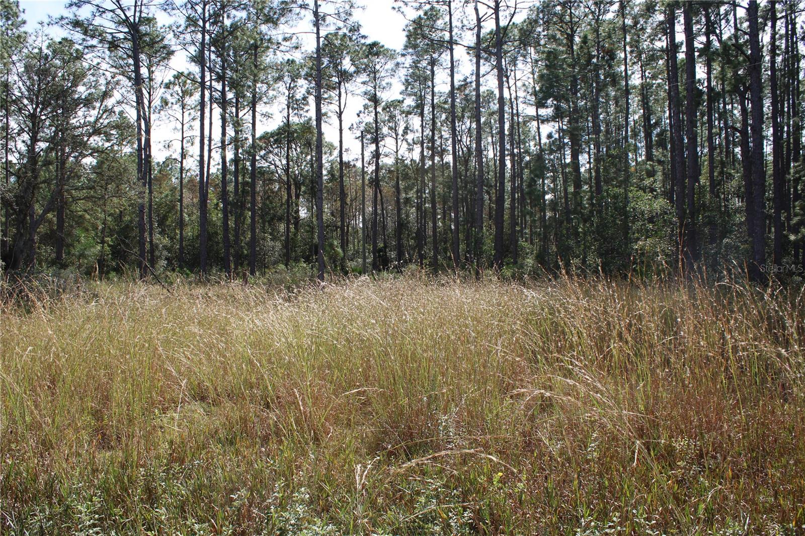 DUBOISE DR, CLERMONT, FL — photo 20