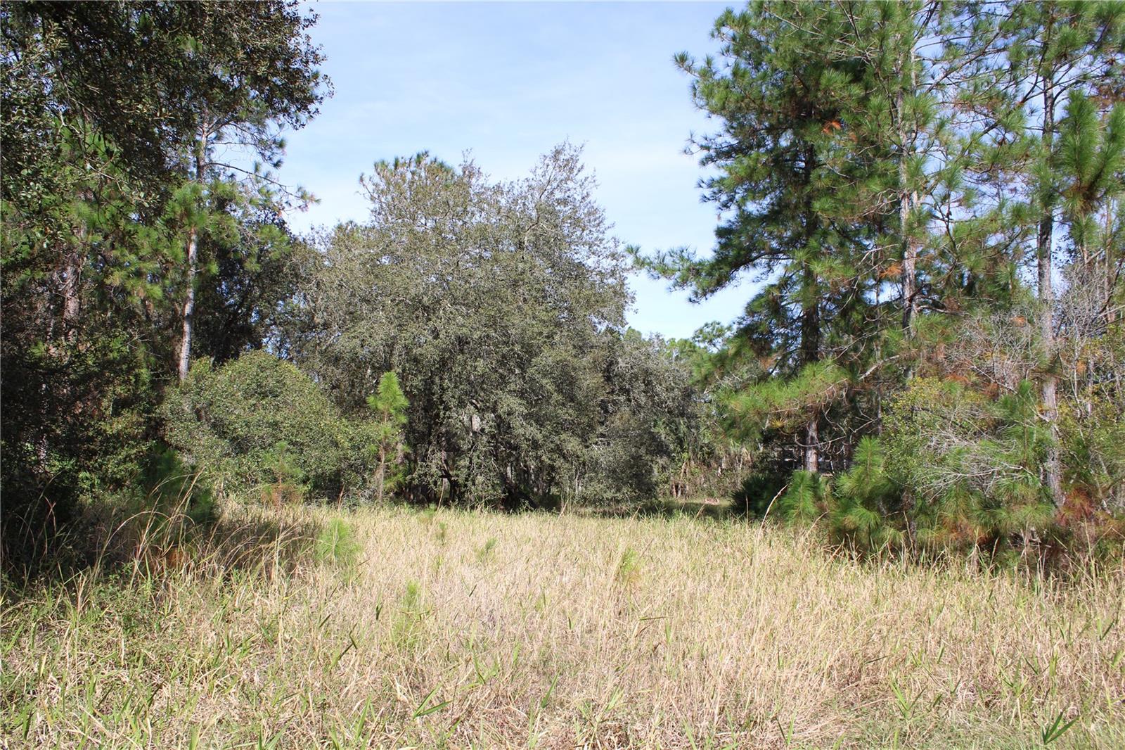 DUBOISE DR, CLERMONT, FL — photo 21
