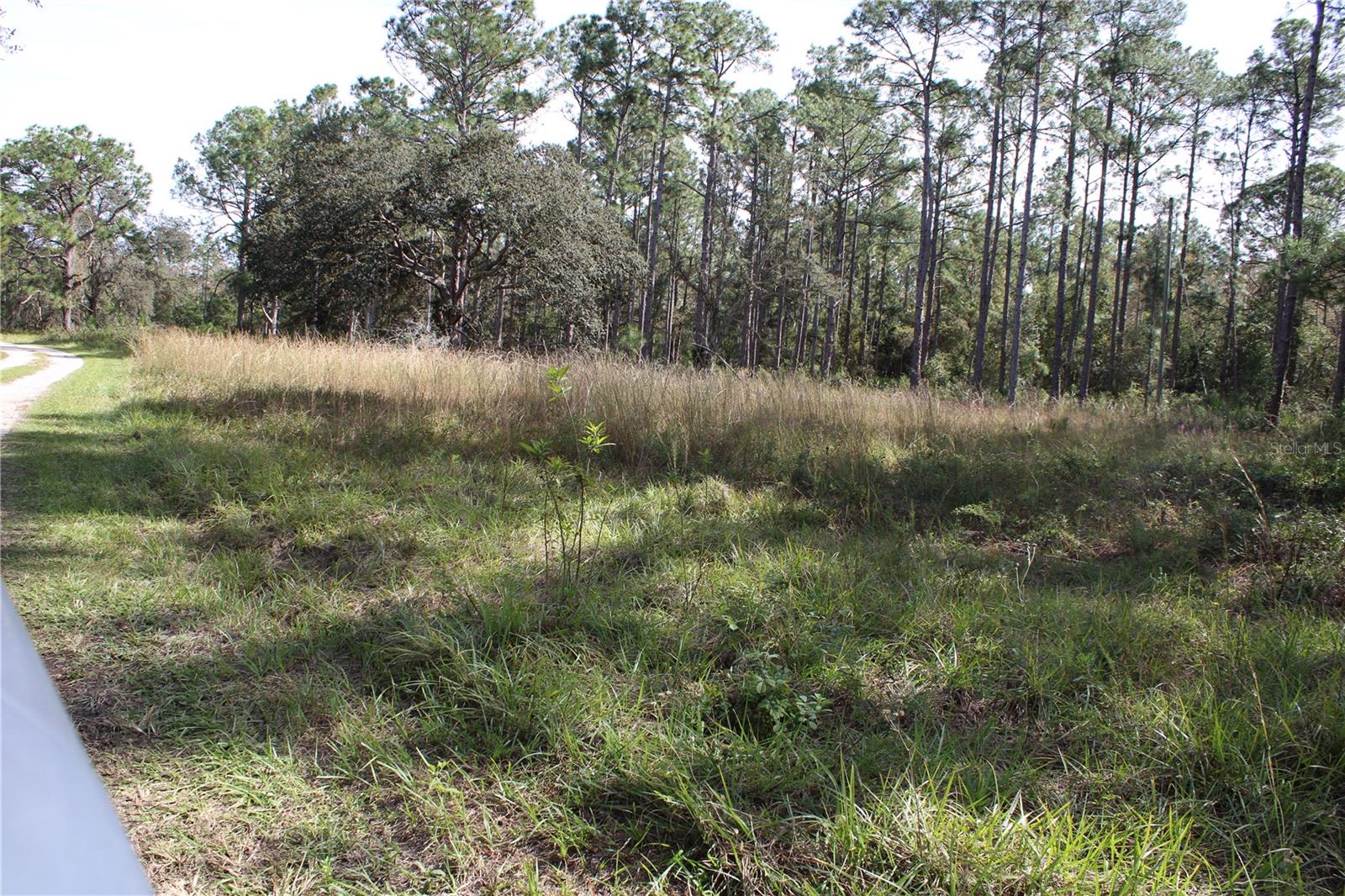 DUBOISE DR, CLERMONT, FL — photo 25