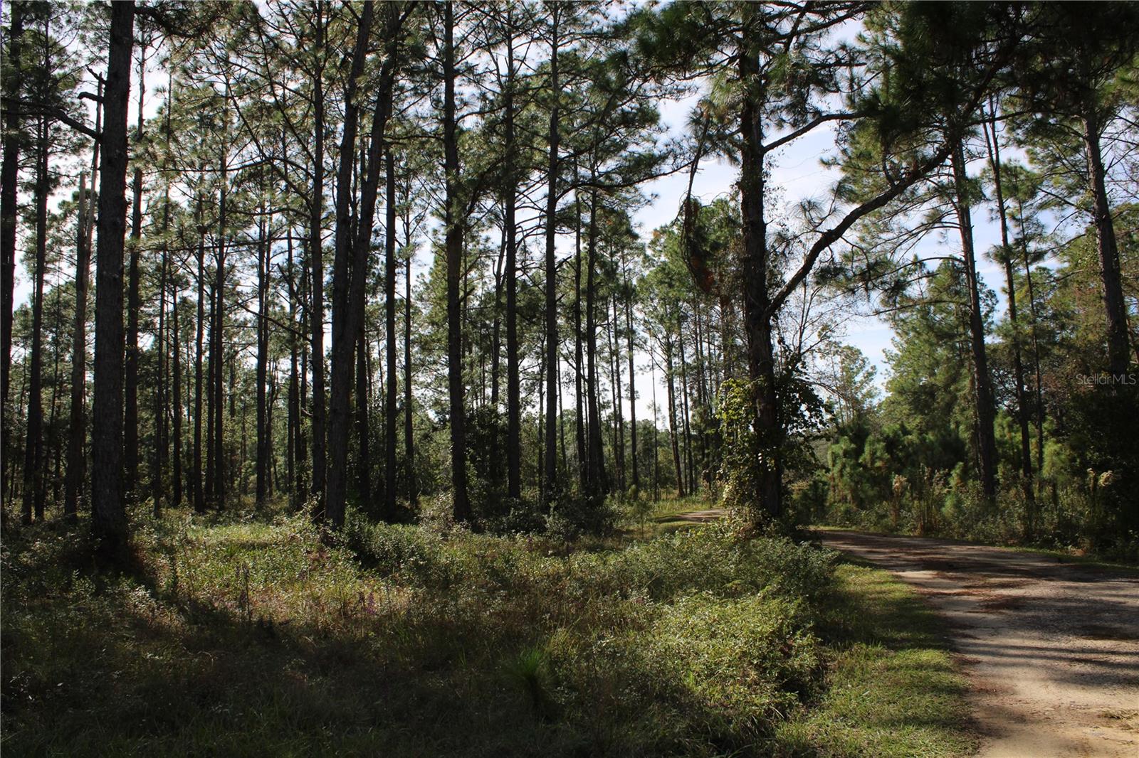 DUBOISE DR, CLERMONT, FL — photo 27