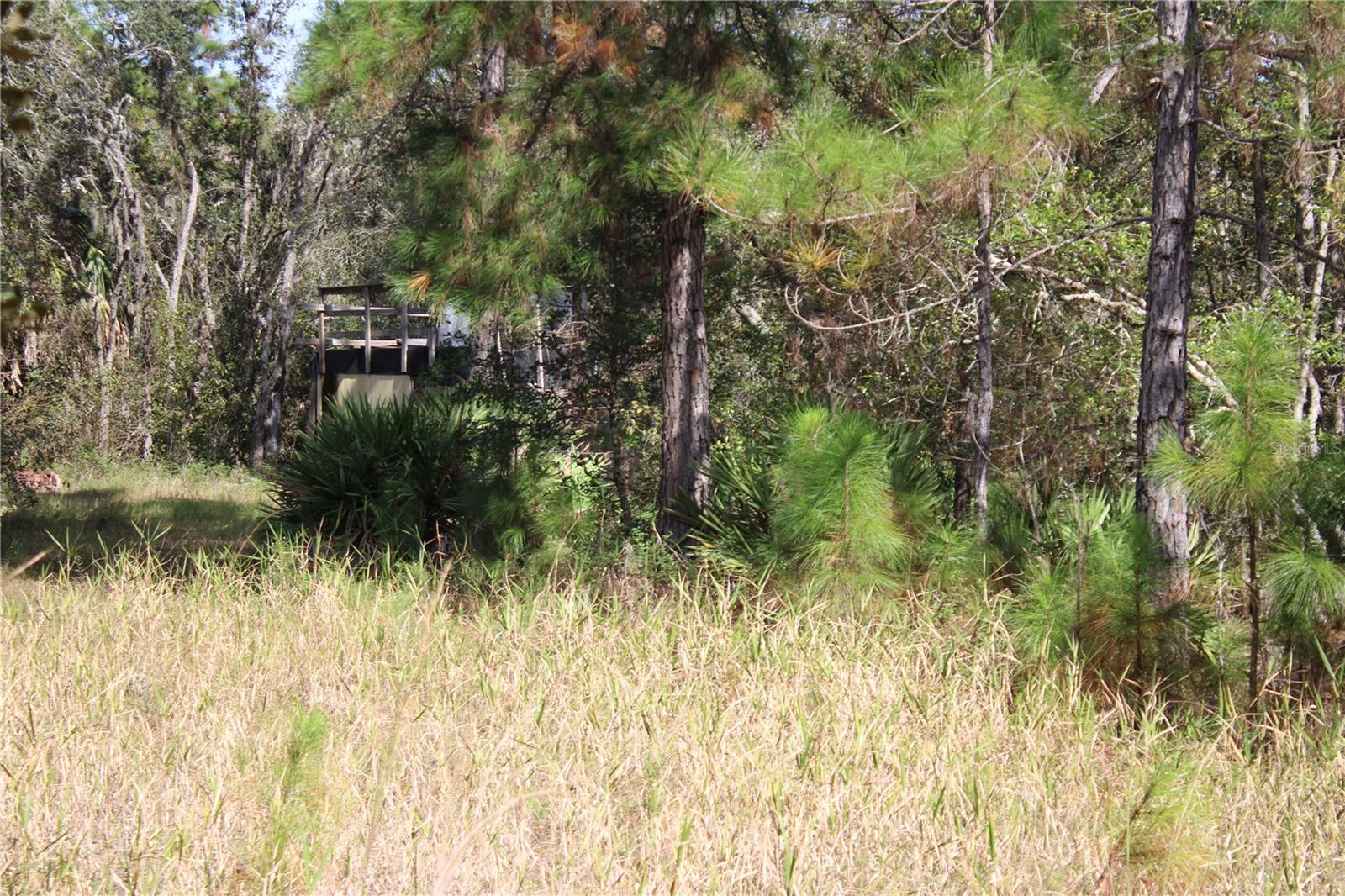 DUBOISE DR, CLERMONT, FL — photo 29