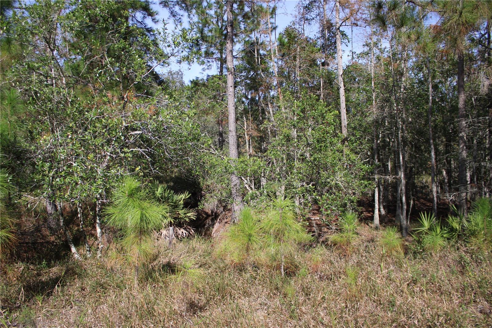 DUBOISE DR, CLERMONT, FL — photo 31
