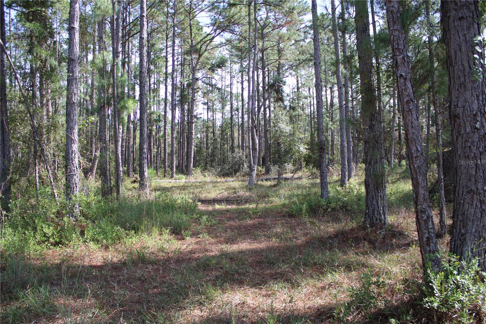 DUBOISE DR, CLERMONT, FL — photo 33