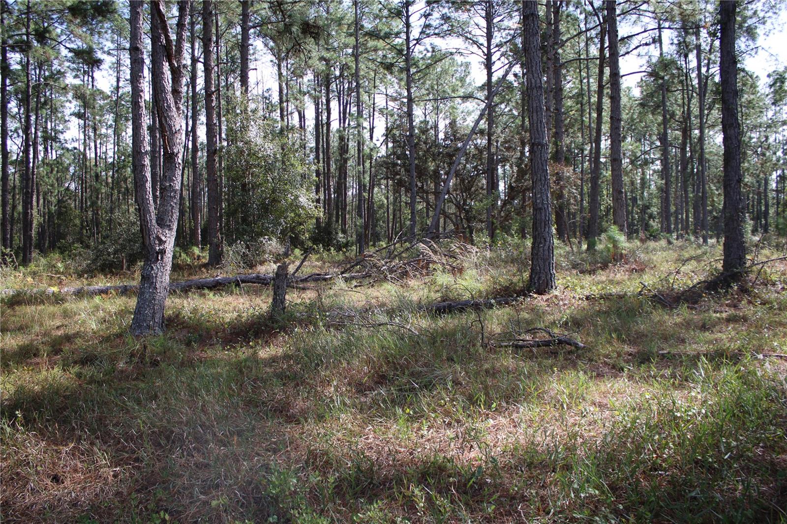 DUBOISE DR, CLERMONT, FL — photo 35