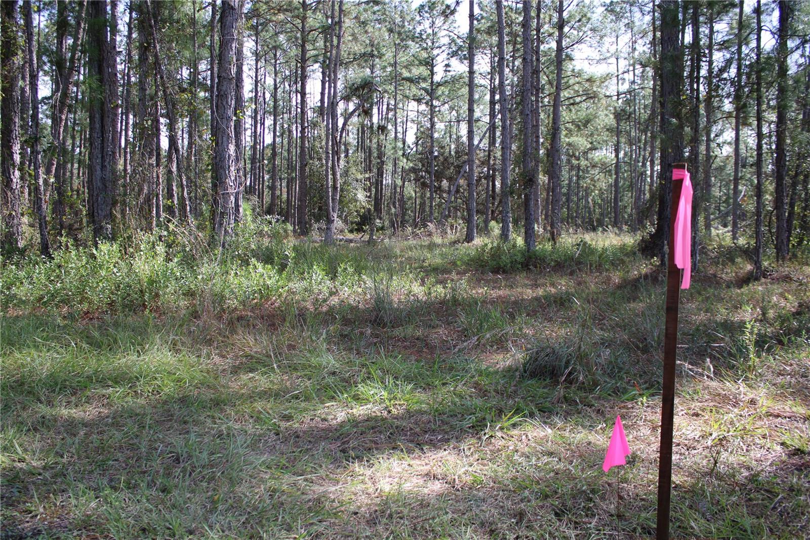 DUBOISE DR, CLERMONT, FL — photo 37