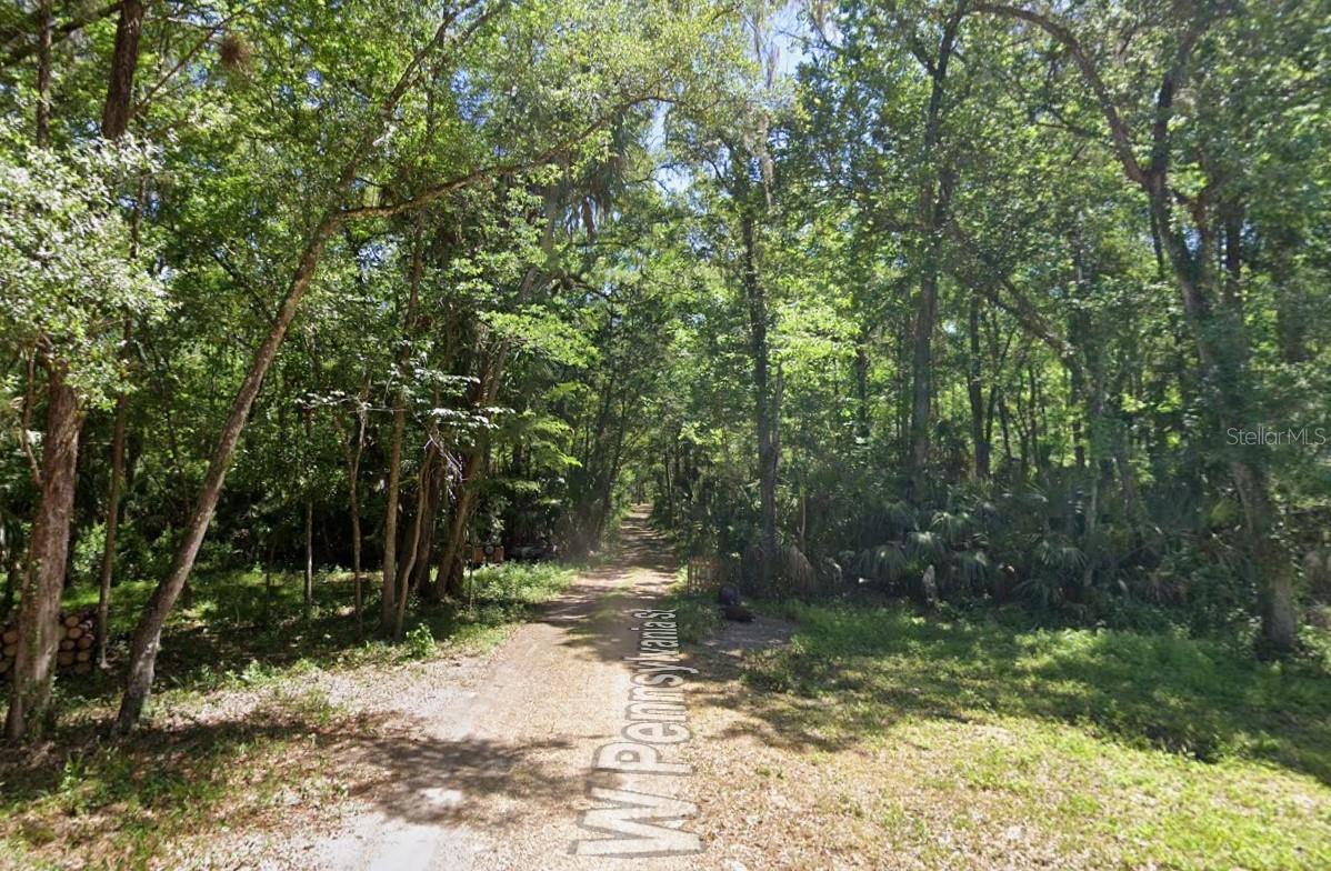 10008 W PENNSYLVANIA ST, HOMOSASSA, FL — photo 4
